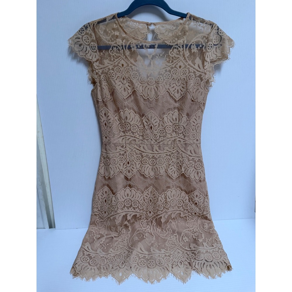 BB Dakota Champagne Lace Mini Dress NWT Sheer Yoke Cap Sleeve NDBH208515
